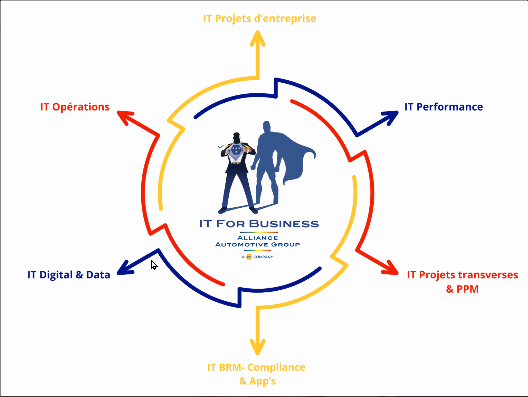 Schéma Organisation DSI